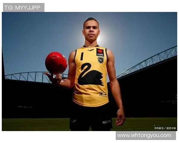 法国足球现役球星实力榜解析 争议与突破并存的球员排名一览